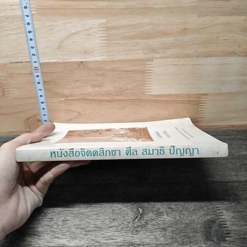 จิตตสิกขา ศีล สมาธิ ปัญญา รูปที่ 2