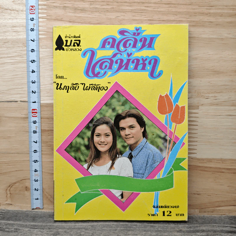 คลื่นเสน่หา - นภาลัย ไผ่สีทอง รูปที่ 1