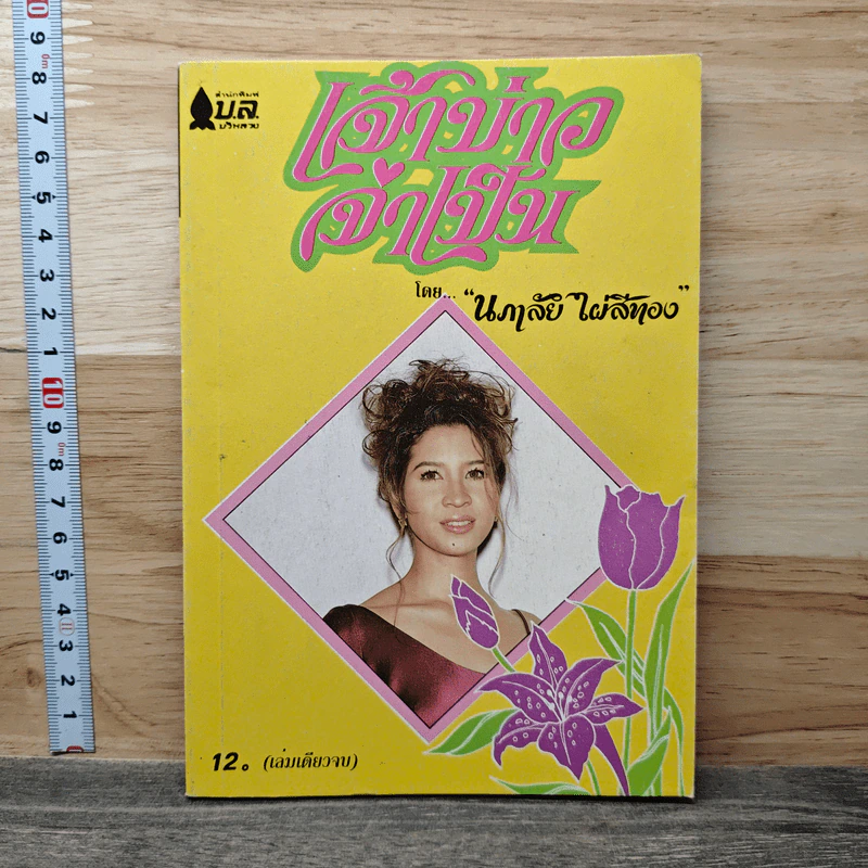 เจ้าบ่าวจำเป็น - นภาลัย ไผ่สีทอง รูปที่ 1