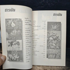 สมุนไพรบำบัด จุลสารอันดับที่ 7 รูปที่ 7