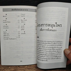 กล้วย : ผลไม้ไทยๆ สมุนไพรสารพัดประโยชน์ รูปที่ 9