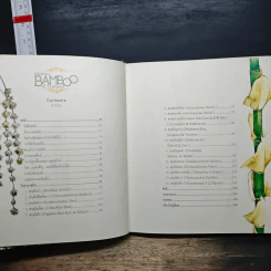 Bamboo of Thailand ไผ่ในเมืองไทย รูปที่ 8