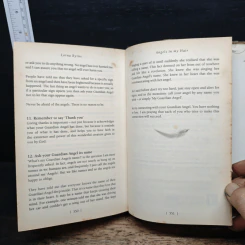 Angels in My Hair: The Illustrated Edition - Lorna Byrne รูปที่ 10