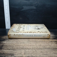 Angels in My Hair: The Illustrated Edition - Lorna Byrne รูปที่ 3