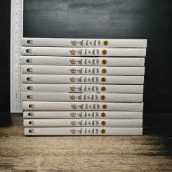 สยบฟ้าพิชิตปฐพี เล่ม 25, 28-29, 33-40 รูปที่ 2