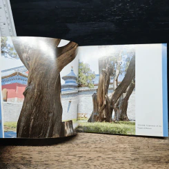 หนังสือ The Temple of Heaven รูปที่ 7