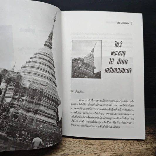 ไหว้พระเสริมมงคล 12 ปีเกิดกับหมอหยอง รูปที่ 8