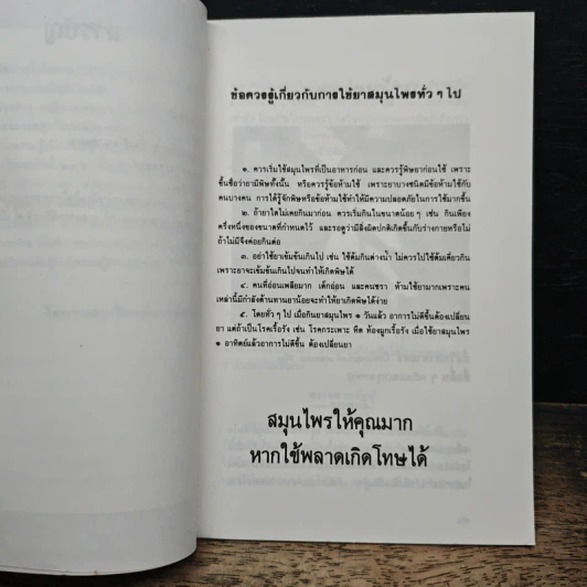 หญ้าหนวดแมว แก้นิ่ว ปัสสาวะขัด รูปที่ 8