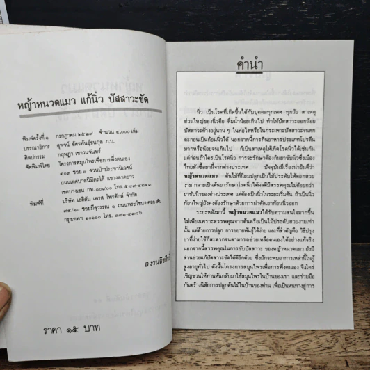 หญ้าหนวดแมว แก้นิ่ว ปัสสาวะขัด รูปที่ 6
