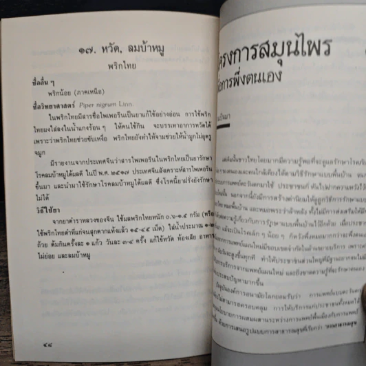 สมุนไพรบำบัด จุลสารอันดับที่ 7 รูปที่ 8