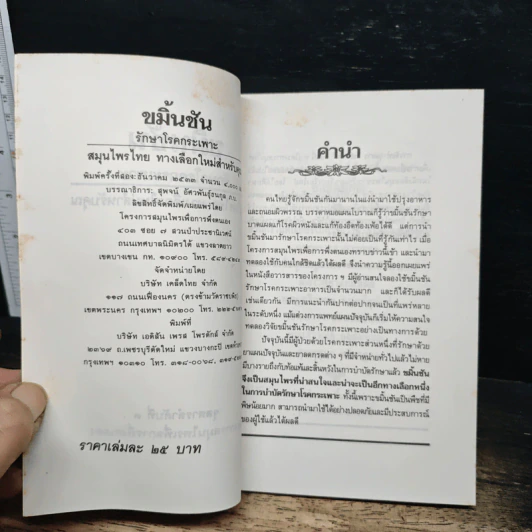 ขมิ้นชัน รักษาโรคกระเพาะ สมุนไพรไทย ทางเลือกใหม่สำหรับคุณ รูปที่ 6