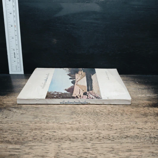 หนึ่งเดือนในอินเดีย - ประณีต ก้องสมุทร รูปที่ 3