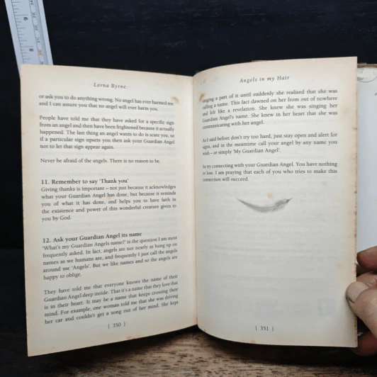 Angels in My Hair: The Illustrated Edition - Lorna Byrne รูปที่ 10
