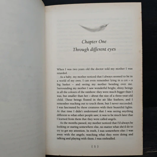 Angels in My Hair: The Illustrated Edition - Lorna Byrne รูปที่ 9