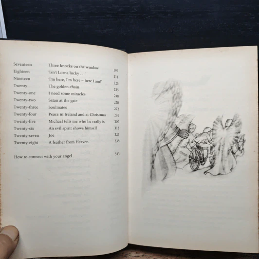 Angels in My Hair: The Illustrated Edition - Lorna Byrne รูปที่ 8