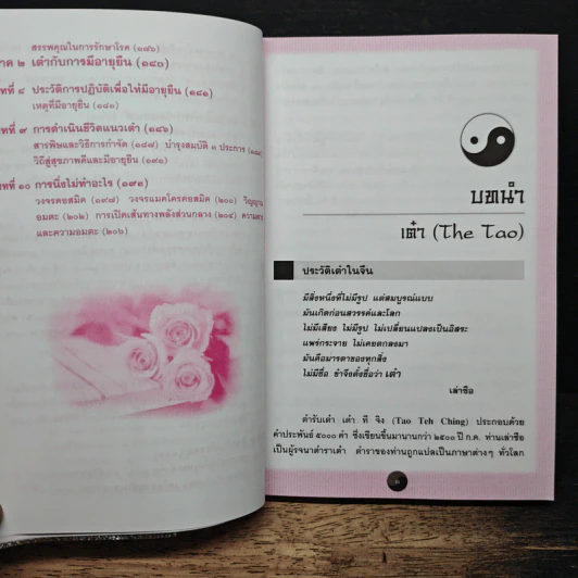 คู่มือข้างหมอน อันดับ 6 พ.ศ.2549 - เดเนียล เรด, พีระ บุญจริง รูปที่ 9