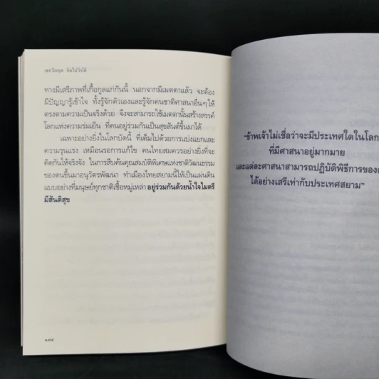 เจอวิกฤตจิตไม่วิบัติ - พระพรหมคุณาภรณ์ (ป.อ.ปยุตโต) รูปที่ 12
