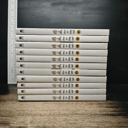 สยบฟ้าพิชิตปฐพี เล่ม 25, 28-29, 33-40 รูปที่ 2