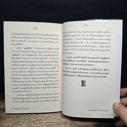 ลมหายใจสุดท้ายของพระพุทธองค์ - ศรีศากยอโศก รูปที่ 8