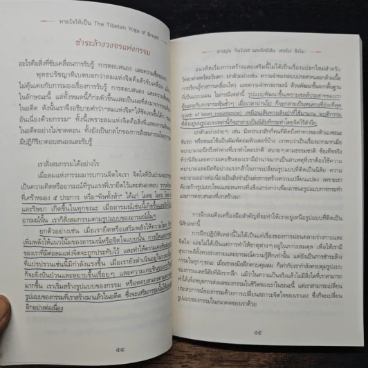 หายใจให้เป็น The Tibetan Yoga of Breath - Anyen Rinpoche รูปที่ 11