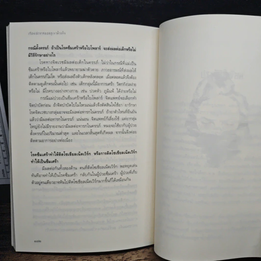 เรื่องเล่าจากยอดภูเขาน้ำแข็ง - ดาวเดียวดาย รูปที่ 9