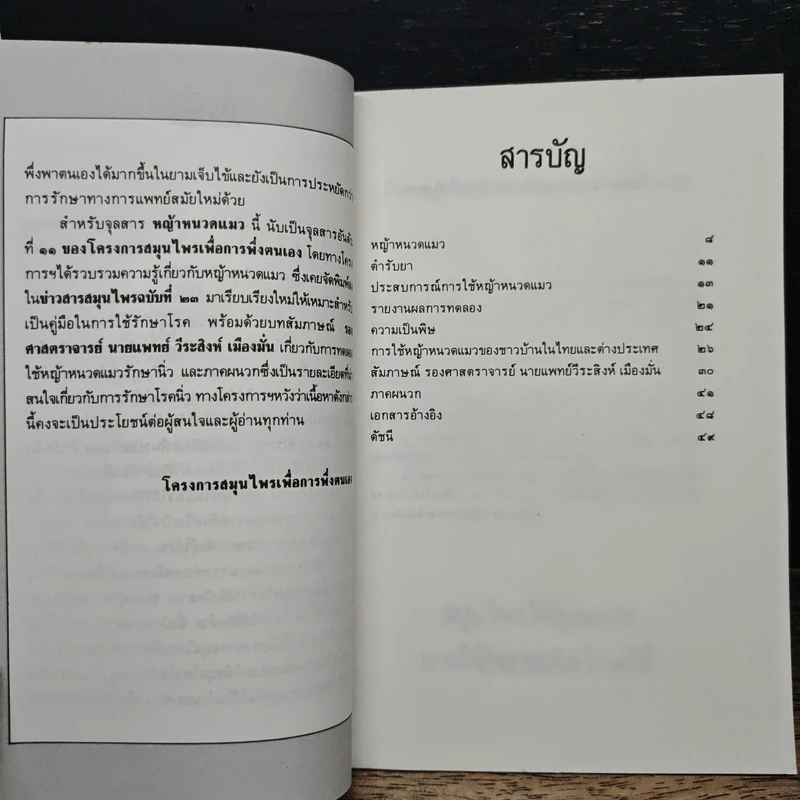 หญ้าหนวดแมว แก้นิ่ว ปัสสาวะขัด รูปที่ 7