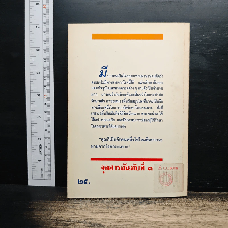 ขมิ้นชัน รักษาโรคกระเพาะ สมุนไพรไทย ทางเลือกใหม่สำหรับคุณ รูปที่ 2