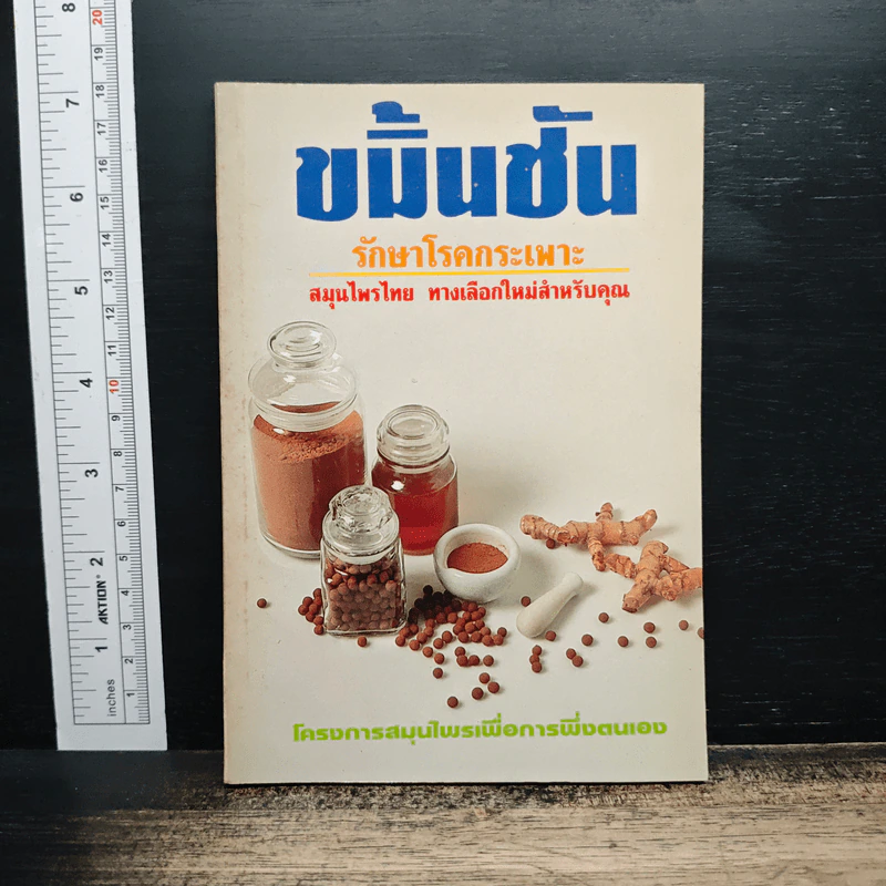 ขมิ้นชัน รักษาโรคกระเพาะ สมุนไพรไทย ทางเลือกใหม่สำหรับคุณ รูปที่ 1