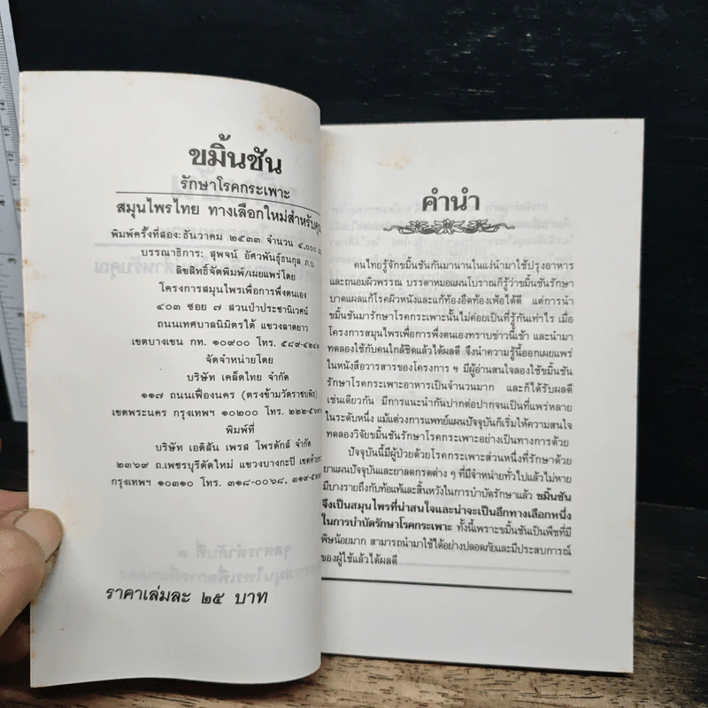 ขมิ้นชัน รักษาโรคกระเพาะ สมุนไพรไทย ทางเลือกใหม่สำหรับคุณ รูปที่ 6