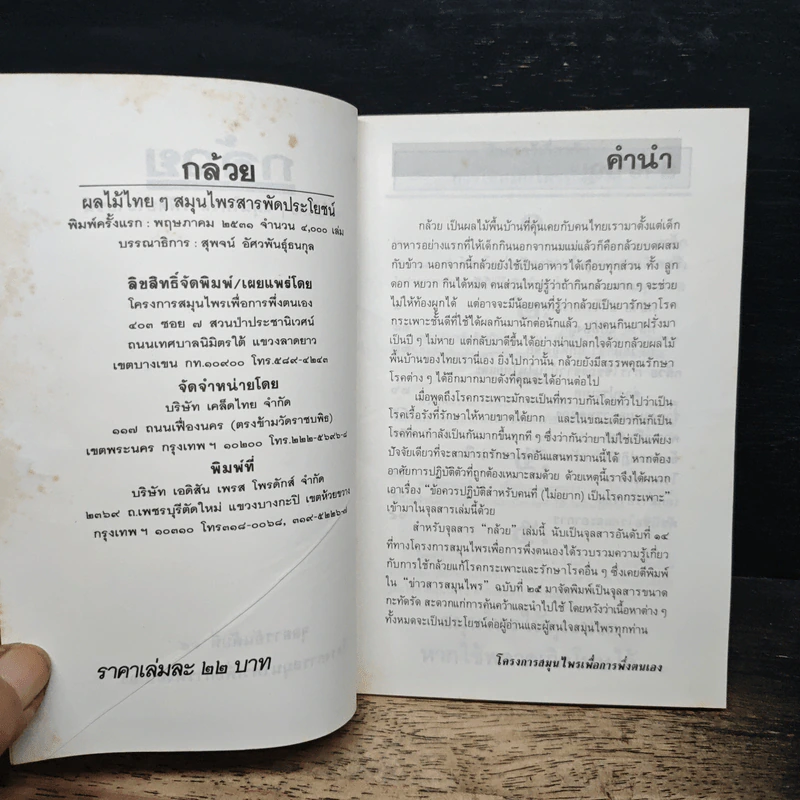 กล้วย : ผลไม้ไทยๆ สมุนไพรสารพัดประโยชน์ รูปที่ 6
