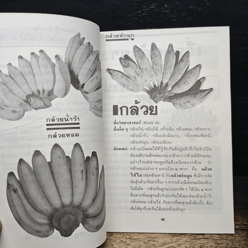 กล้วย : ผลไม้ไทยๆ สมุนไพรสารพัดประโยชน์ รูปที่ 8