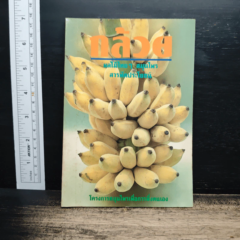 กล้วย : ผลไม้ไทยๆ สมุนไพรสารพัดประโยชน์ รูปที่ 1