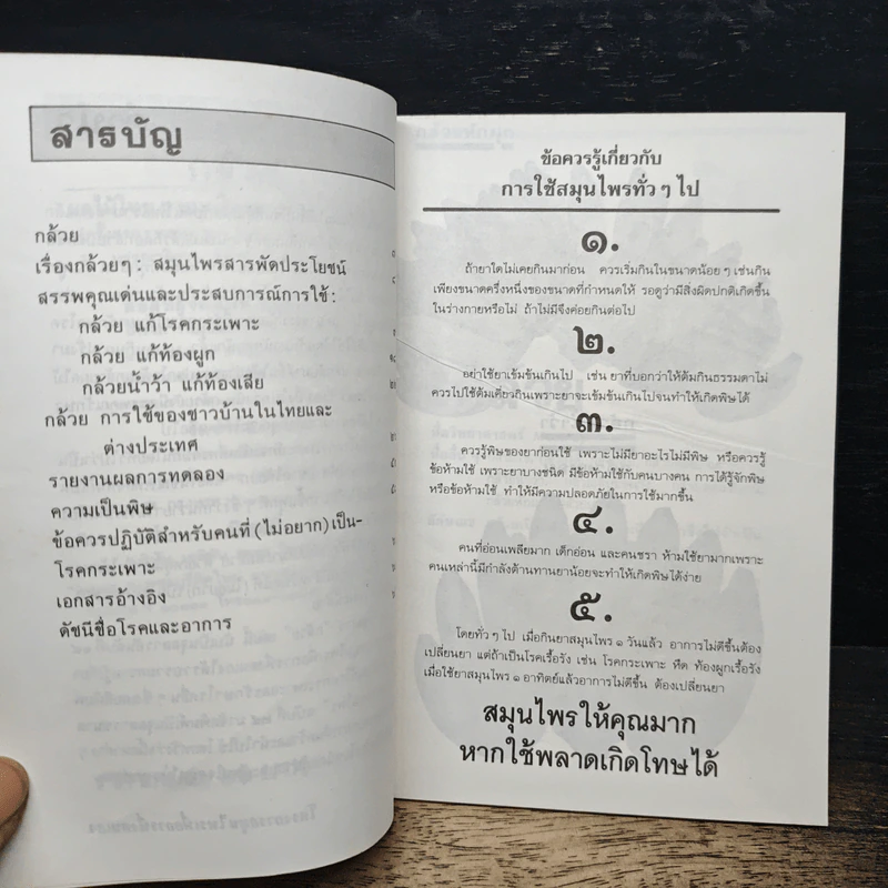 กล้วย : ผลไม้ไทยๆ สมุนไพรสารพัดประโยชน์ รูปที่ 7
