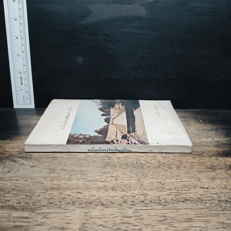 หนึ่งเดือนในอินเดีย - ประณีต ก้องสมุทร รูปที่ 3
