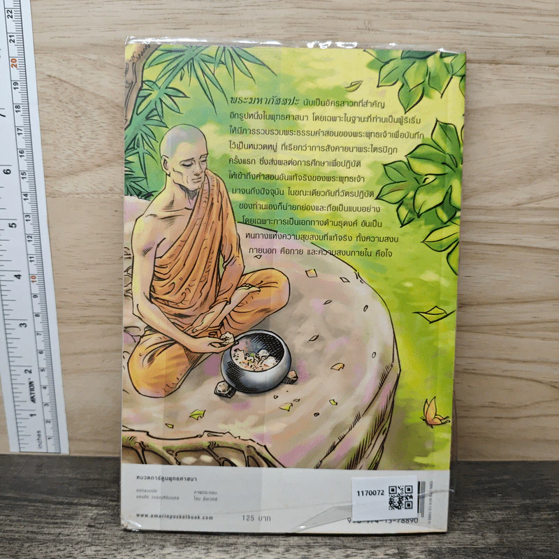 พระมหากัสสปะ ปฐมบทแห่งการทำสังคายนา ฉบับการ์ตูนสี่สี รูปที่ 4