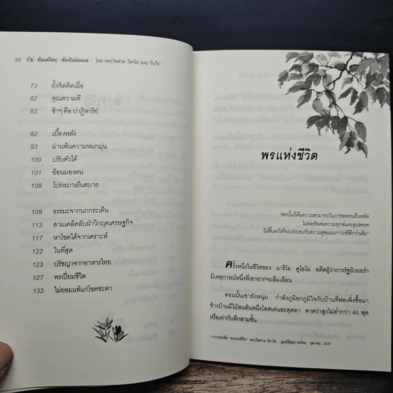 ท้อแค่ไหนต้องไม่อ่อนแอ - พระไพศาล วิสาโล รูปที่ 8