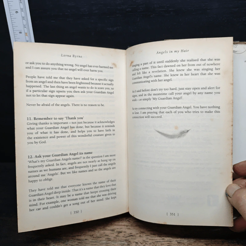 Angels in My Hair: The Illustrated Edition - Lorna Byrne รูปที่ 10