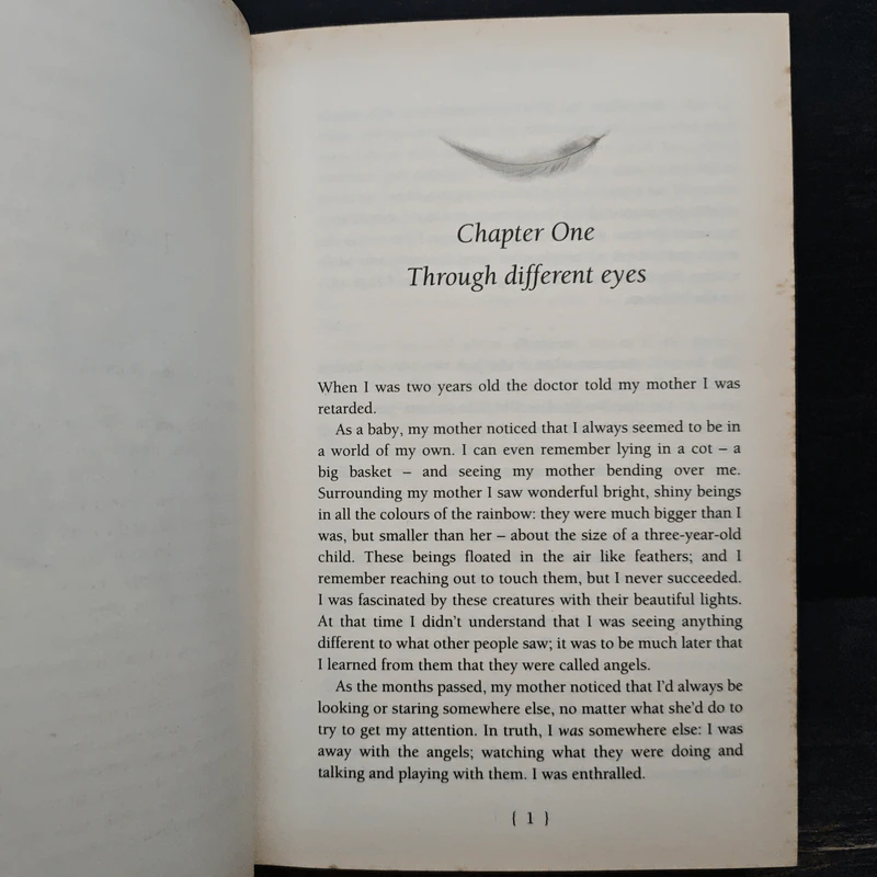 Angels in My Hair: The Illustrated Edition - Lorna Byrne รูปที่ 9