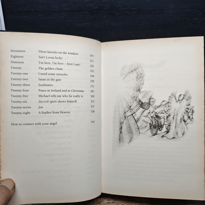 Angels in My Hair: The Illustrated Edition - Lorna Byrne รูปที่ 8