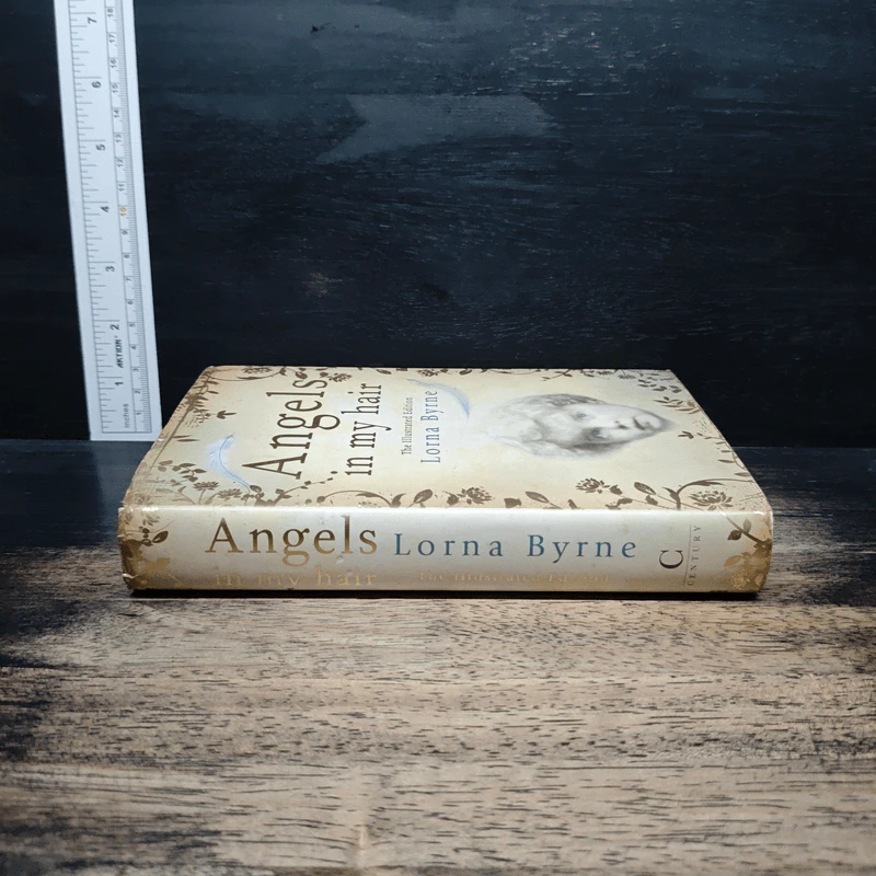 Angels in My Hair: The Illustrated Edition - Lorna Byrne รูปที่ 3