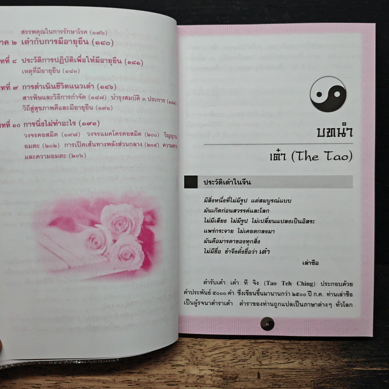 คู่มือข้างหมอน อันดับ 6 พ.ศ.2549 - เดเนียล เรด, พีระ บุญจริง รูปที่ 9