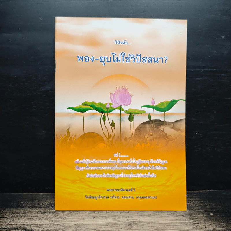 วินิจฉัย พอง-ยุบไม่ใช่วิปัสสนา? รูปที่ 1