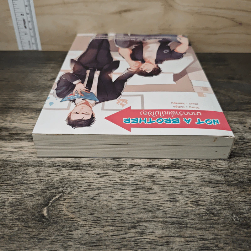 Not A Brother มากกว่าพี่แต่ไม่ใช่ลุง - Indigo รูปที่ 4