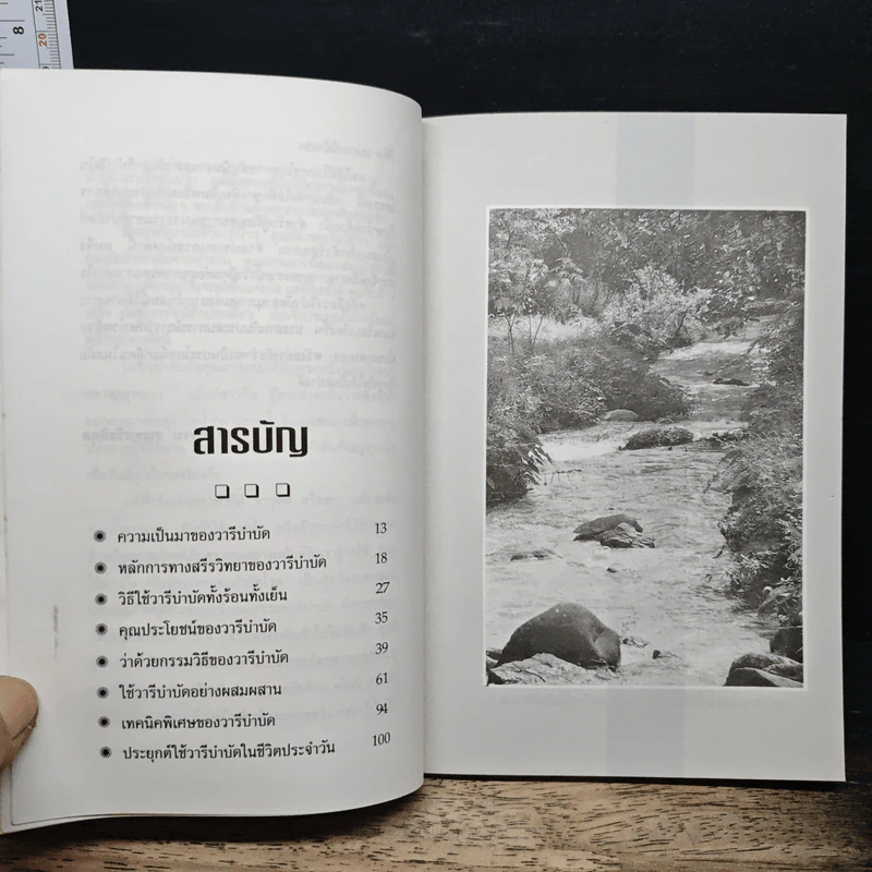 วารีบำบัดอานุภาพแห่งสายน้ำ รูปที่ 7