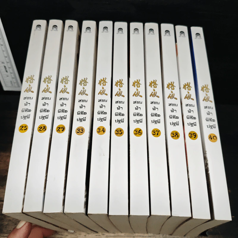 สยบฟ้าพิชิตปฐพี เล่ม 25, 28-29, 33-40 รูปที่ 5