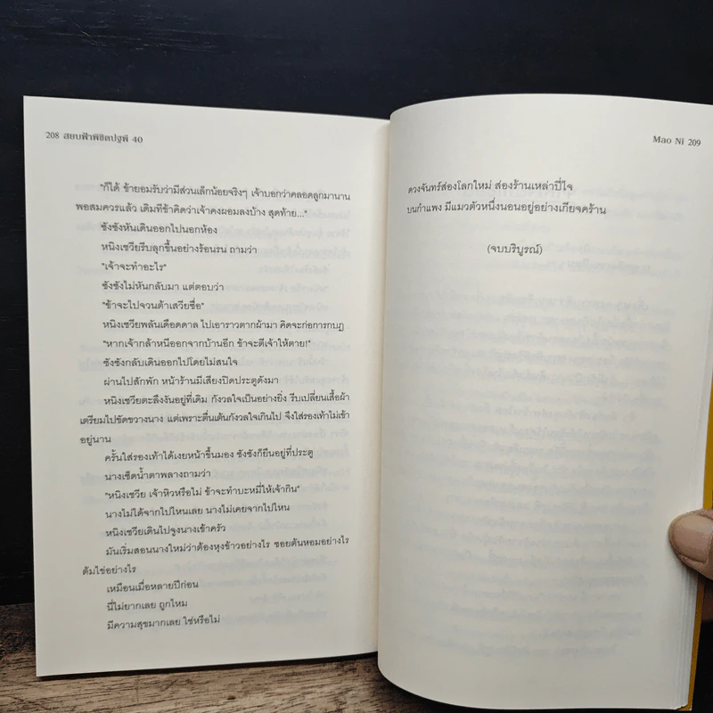 สยบฟ้าพิชิตปฐพี เล่ม 25, 28-29, 33-40 รูปที่ 11