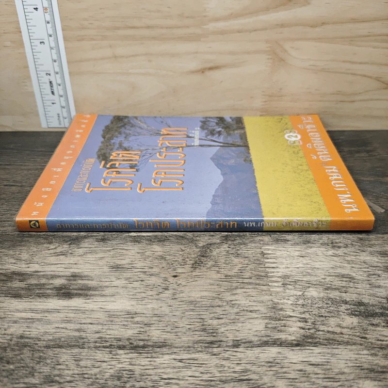 อาการและการบำบัด โรคจิต โรคประสาท - นพ.เกษม ตันติผลาชีวะ รูปที่ 2