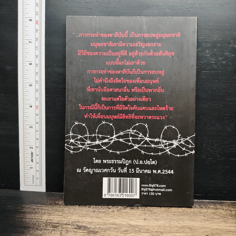 ตาลีบัน ฆาตกรทำลาย 'พระพุทธเจ้า' [หิน] - บิ๊กป๋วย ใจไทย รูปที่ 2
