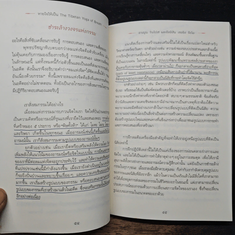 หายใจให้เป็น The Tibetan Yoga of Breath - Anyen Rinpoche รูปที่ 11