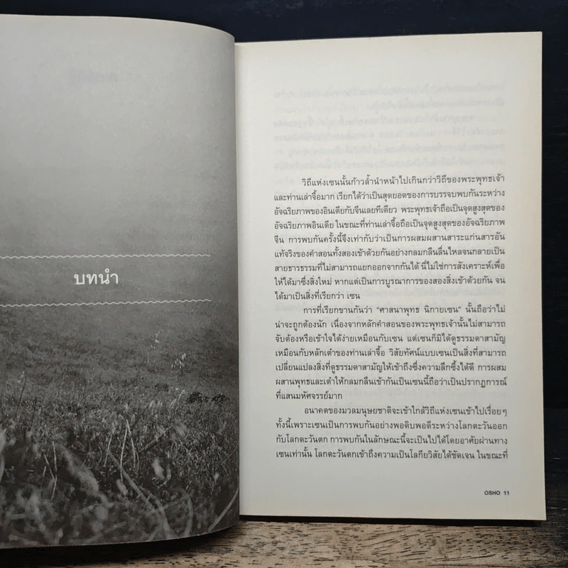 Zen เซน : หนทางอันย้อนแย้ง - Osho รูปที่ 8